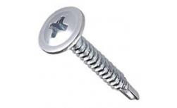 Screw