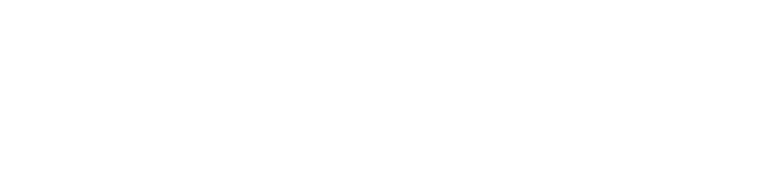 Narang Exports